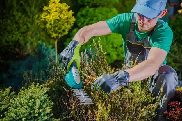 landscaping services Nelsonville